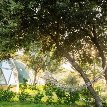 Lusso Glamping Bodrum Ξενοδοχείο Εξωτερικό φωτογραφία
