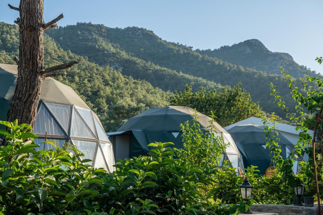 Lusso Glamping Bodrum Ξενοδοχείο Εξωτερικό φωτογραφία